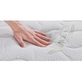 aloe_vera_obliecka