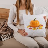 jastuk_emi