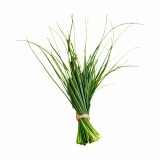 Aromatični jastuk Limunska trava 50x70 cm EMI