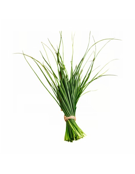 Aromatični jastuk Lemongrass 50x70 cm EMI