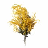 Aromatični jastuk Albizia 50x70 cm EMI
