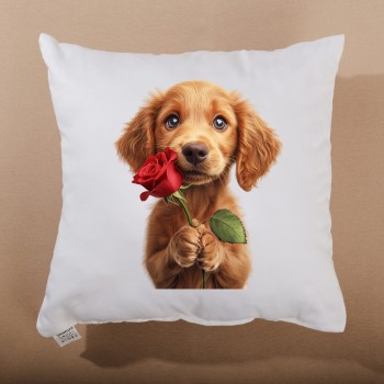 Maxie ukrasni jastuk 40x40 cm EMI