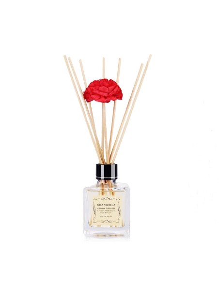 Aroma difuzér Elegant 100ml AP