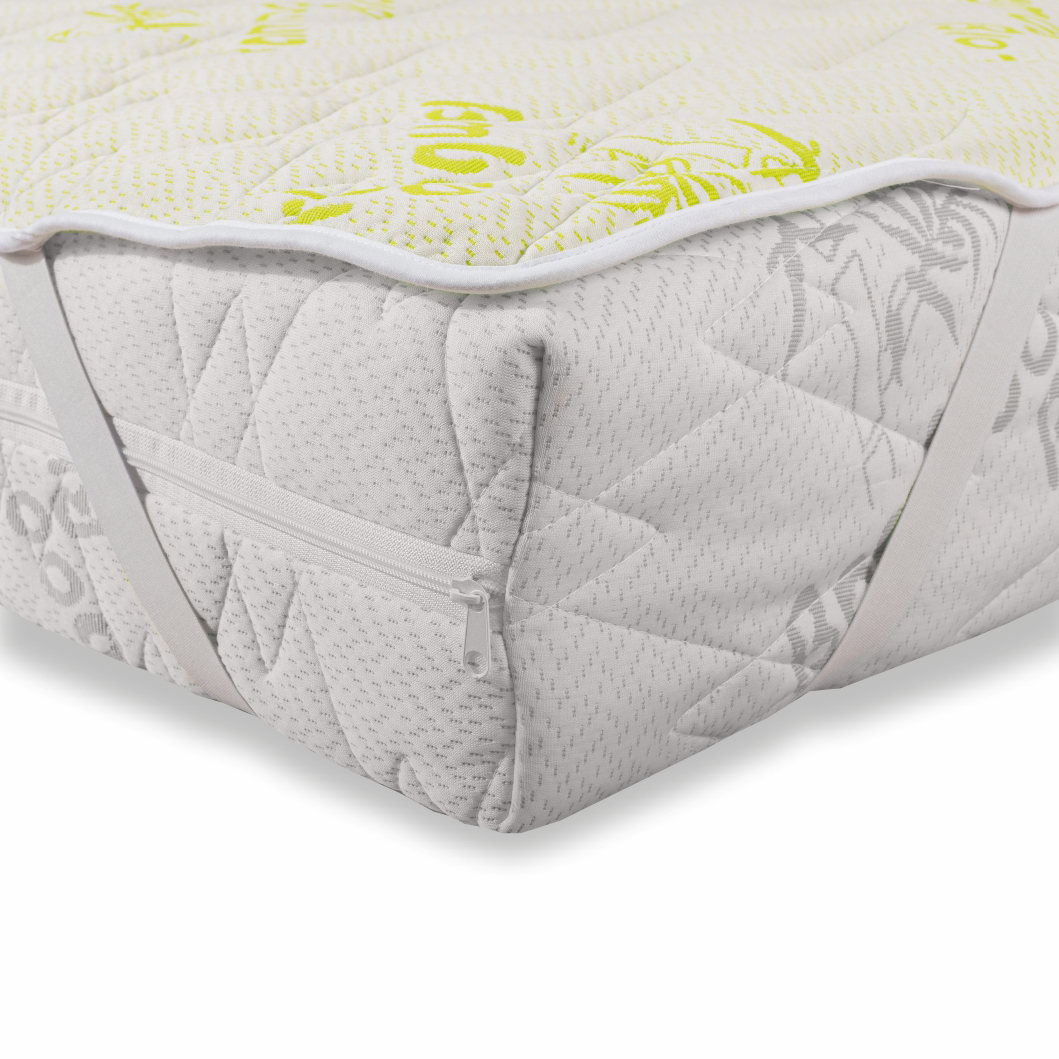 kronični_bambus_emi