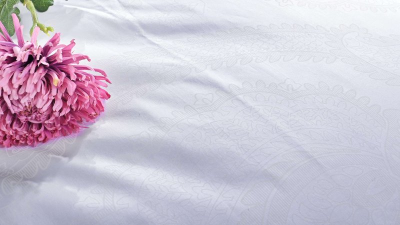 bijele haljine benarda