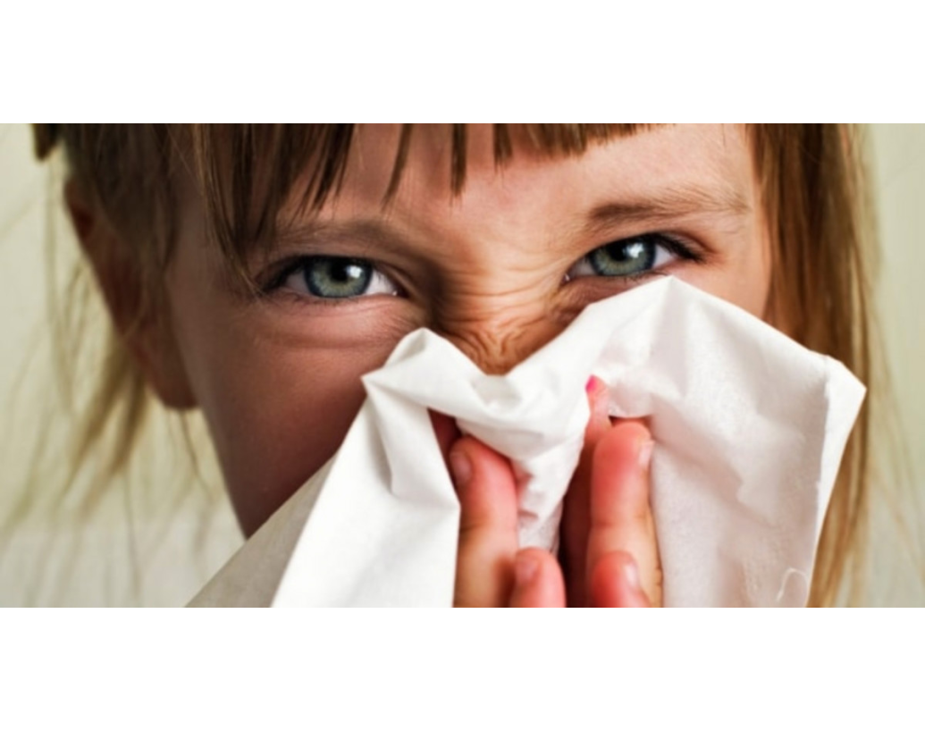 8 NAJBOLJIH SAVJETA ZA UKLANJANJE GRINJA