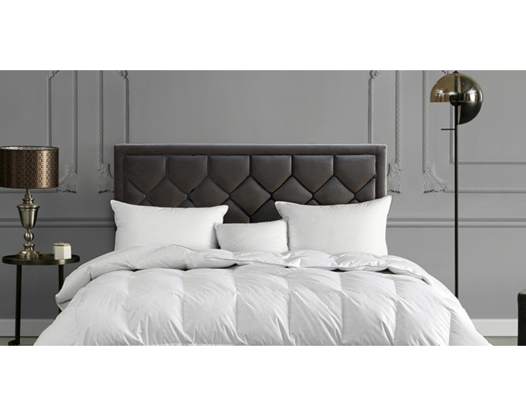 KOJI JE JORGAN PRAVI ZA VAS?