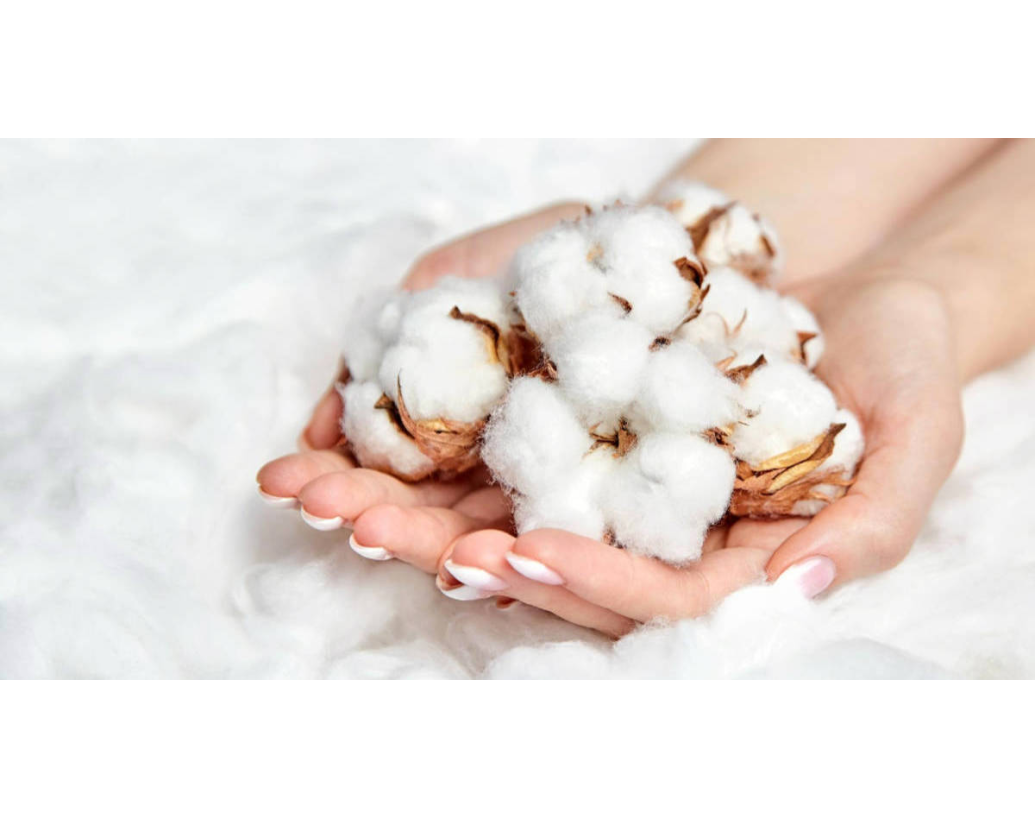 KAKO ODABRATI PAMUČNE POSTELJINE?