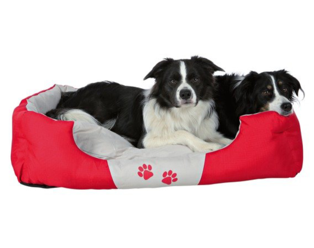 KAKO ODABRATI KREVET ZA KUĆNE LJUBIMCE?